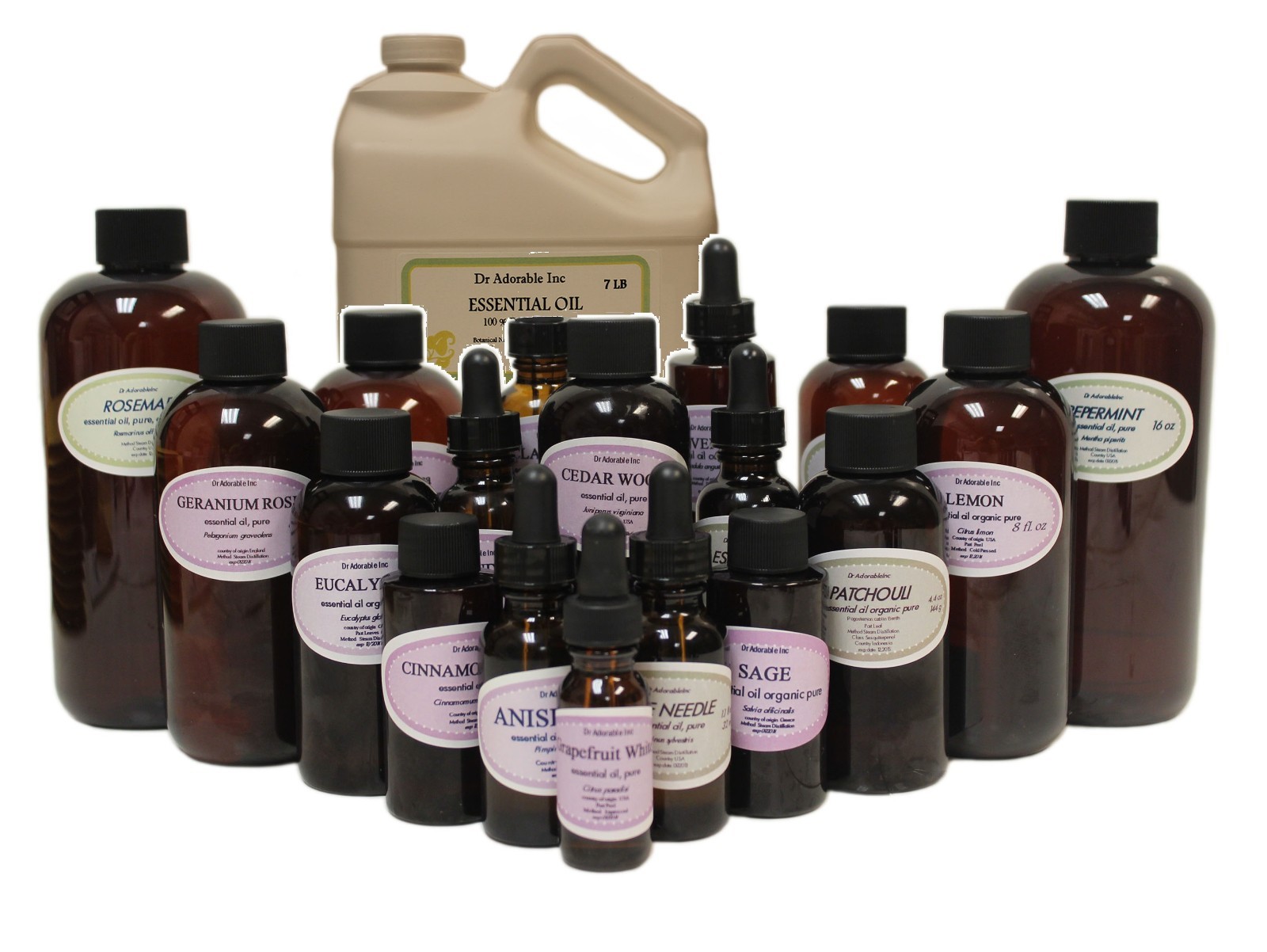 100% Pure Premium Sandalwood​ Essential Oil Organic Sizes from 0.6 oz to Gallon