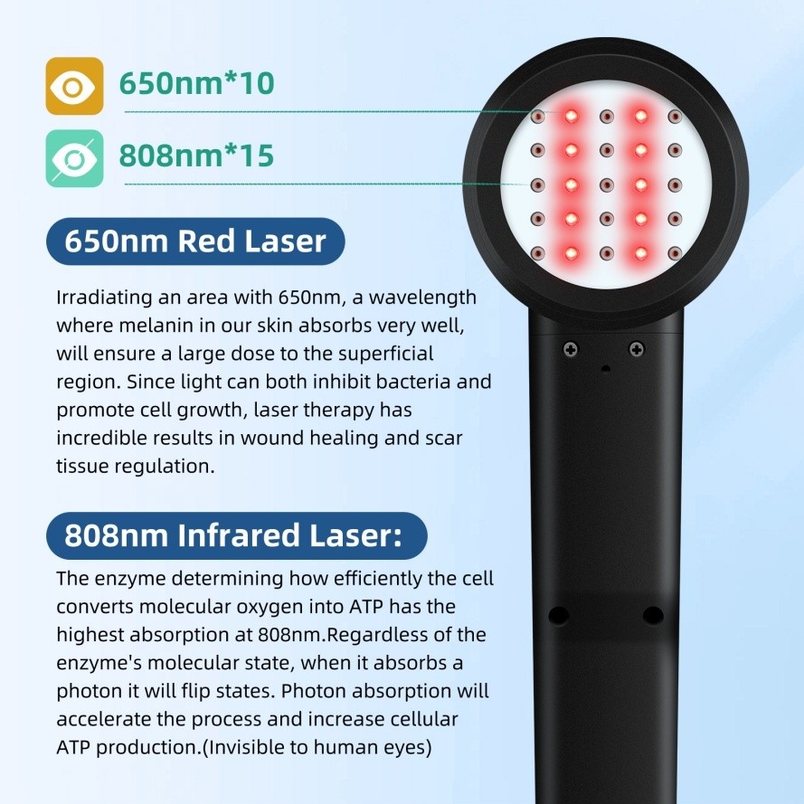 5W Cold Laser Therapy Rechargeable 650NM*10 808NM*15 Pet Dog Back Pain Relief