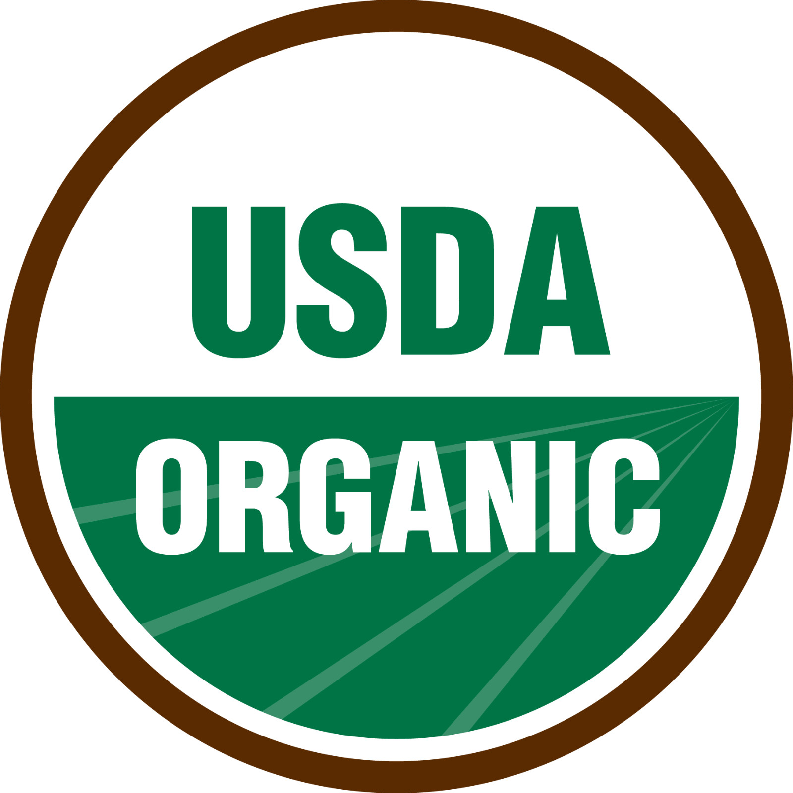 Black Seed Oil – 100% Pure USDA Organic Cold Pressed Cumin Nigella Sativa 3 PACK