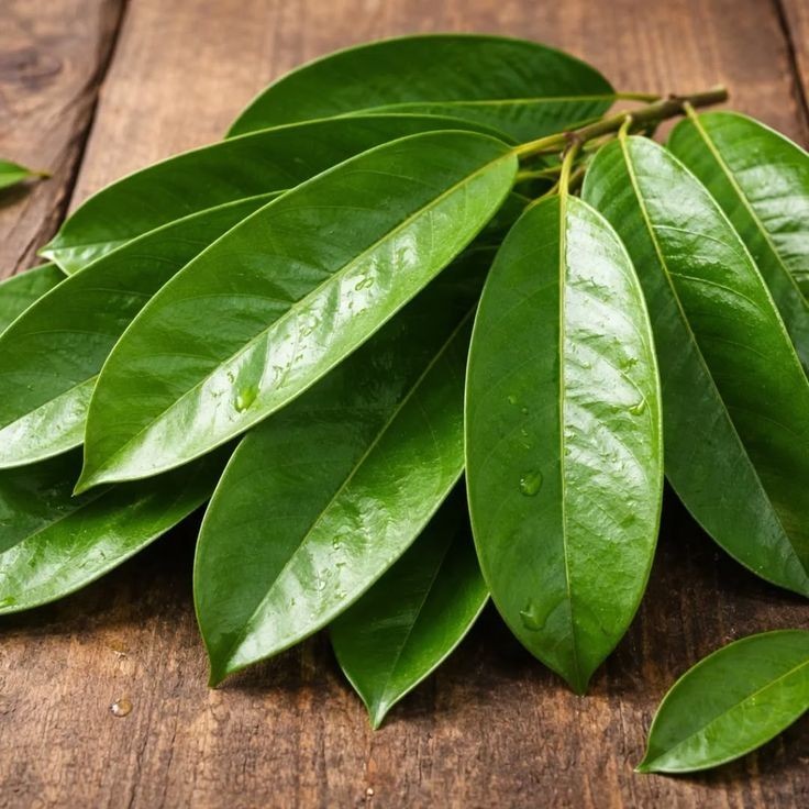 Dried Soursop leaves 100 leaves pcs/ 100% Organic natural Guanabana Graviola 50g
