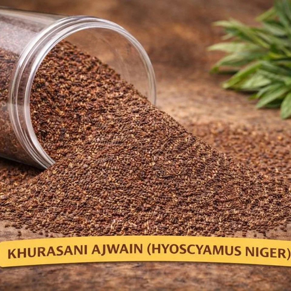 100% Pure Khurasani Ajwain-Khurasani Ajwaain-Hyoscyamus Niger (50 GM – 1 KG)