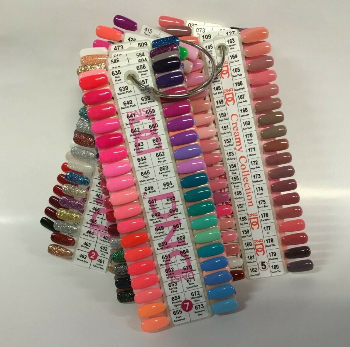 DC&DND Daisy Color Chart Gel Polish Color Sample Chart Palette Display Swatch