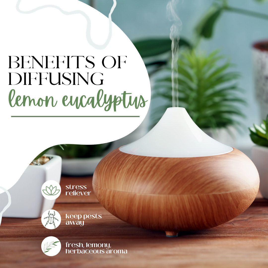 Lemon Eucalyptus Essential Oil 100% Pure Free Shipping Many Sizes