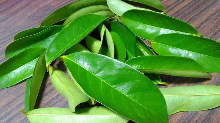 Dried Soursop leaves 100 leaves pcs/ 100% Organic natural Guanabana Graviola 50g