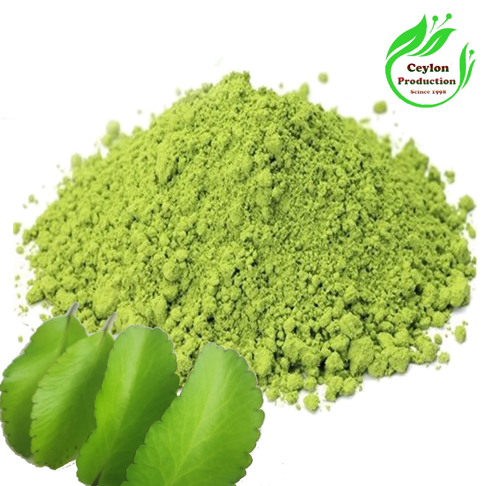 Kalanchoe pinnata Leaves ground powder Dried Organic Miracle Leaf Air Plant