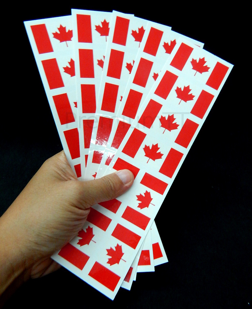 40 Tattoos: Canadian, Canada Flag, Party Favors