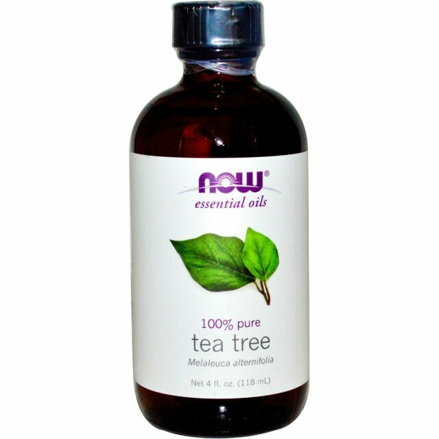 NOW Foods Tea Tree Essential Oil – 4oz.Exp 2027