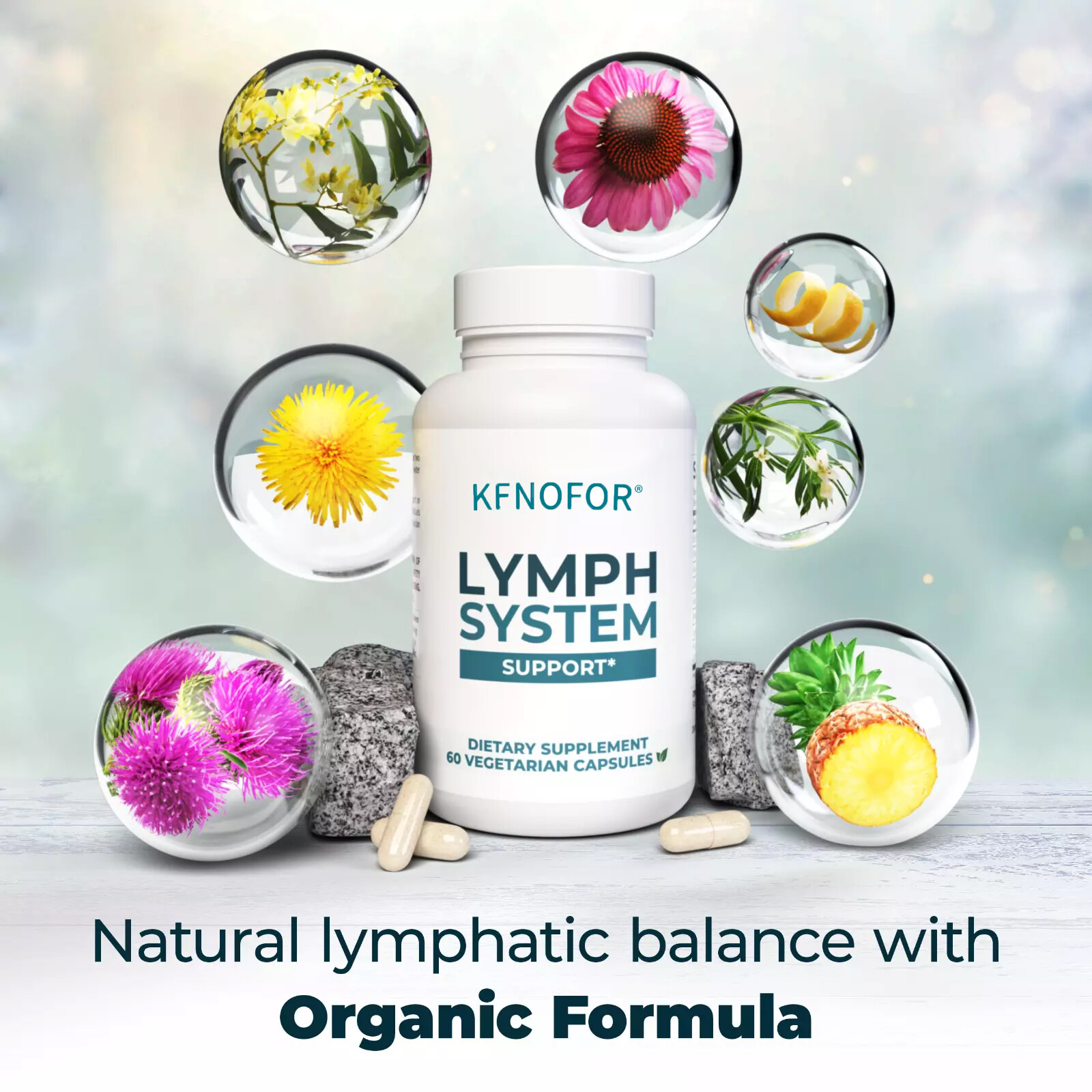 LYMPH SYSTEM Support,Detox and Cleanse Support. Vegan Supplement CAPSULES