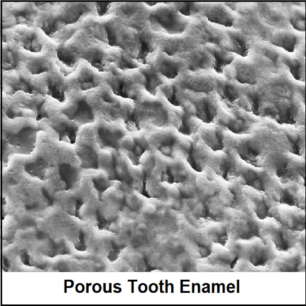 15 Grams. 99.9% Pure Ultra-Fine Hydroxyapatite Powder. Remineralizing Supplement