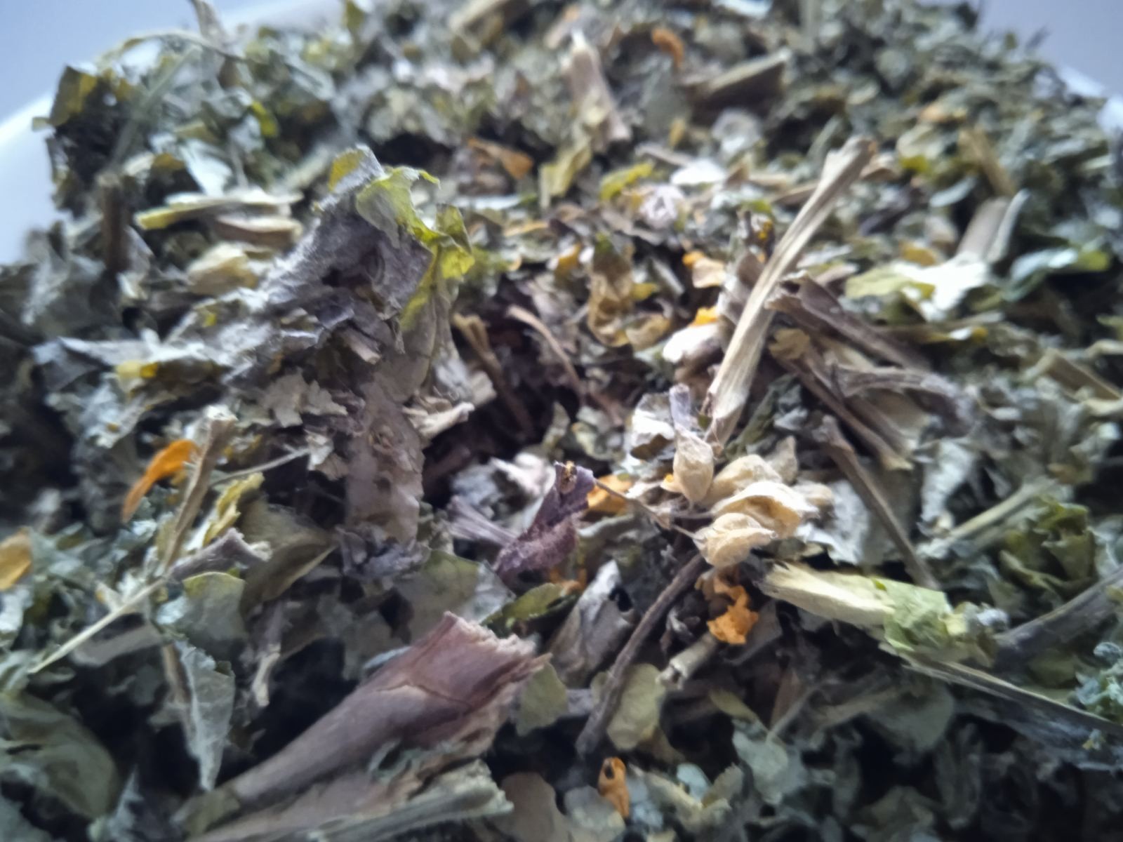 5 Kg 176.4 Oz Greater celandine Grass Chelidonium majus Dried Medicinal plant