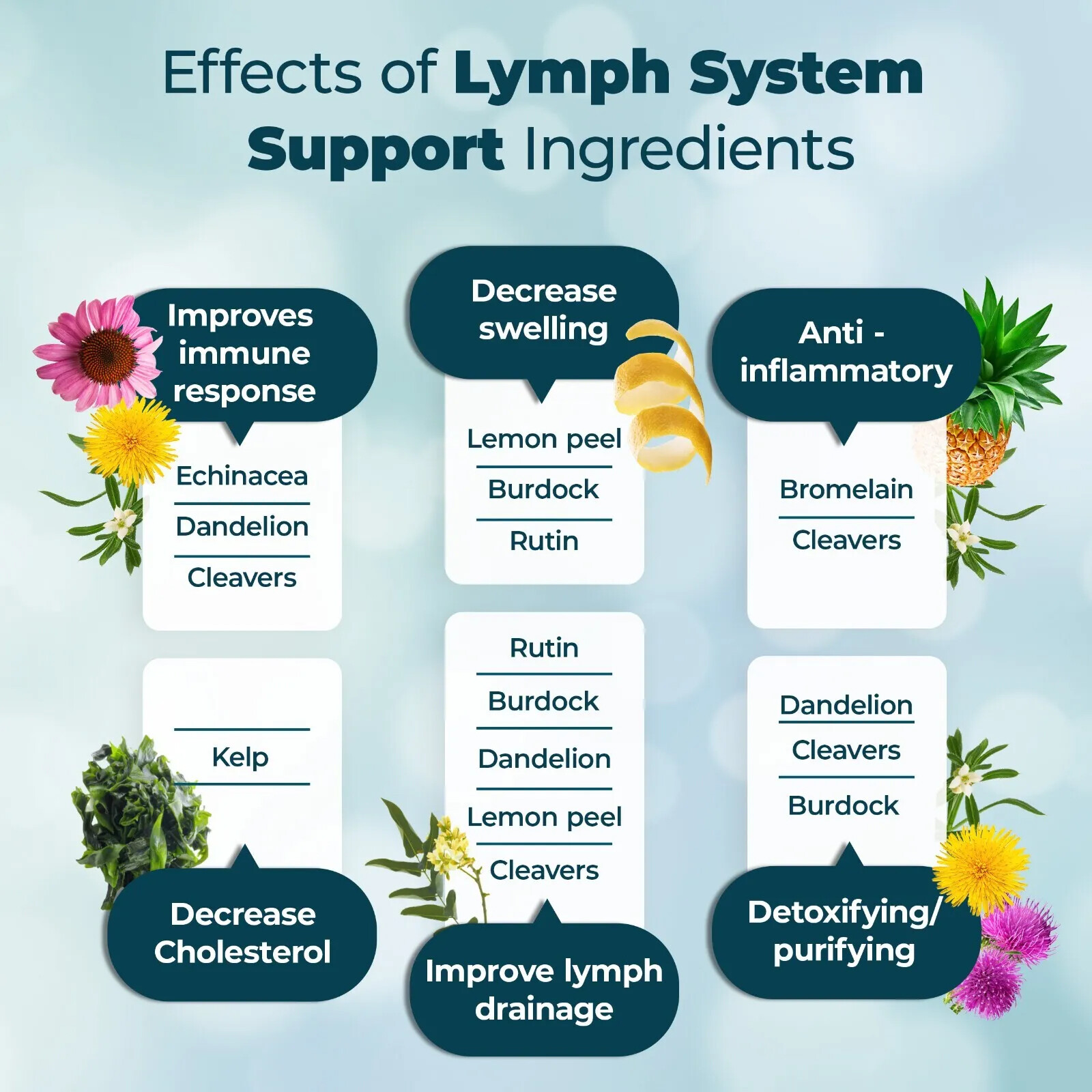 LYMPH SYSTEM Support,Detox and Cleanse Support. Vegan Supplement CAPSULES