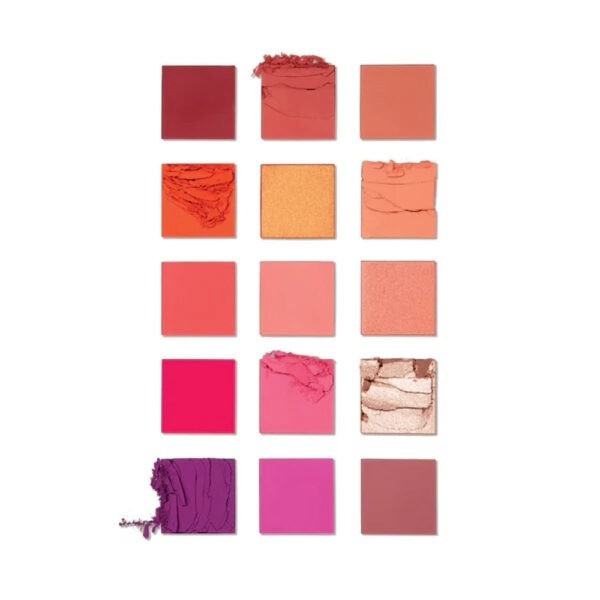 Blend Bunny Cosmetics Masterclass Pro Cheek Palette x15 Shades 21099542