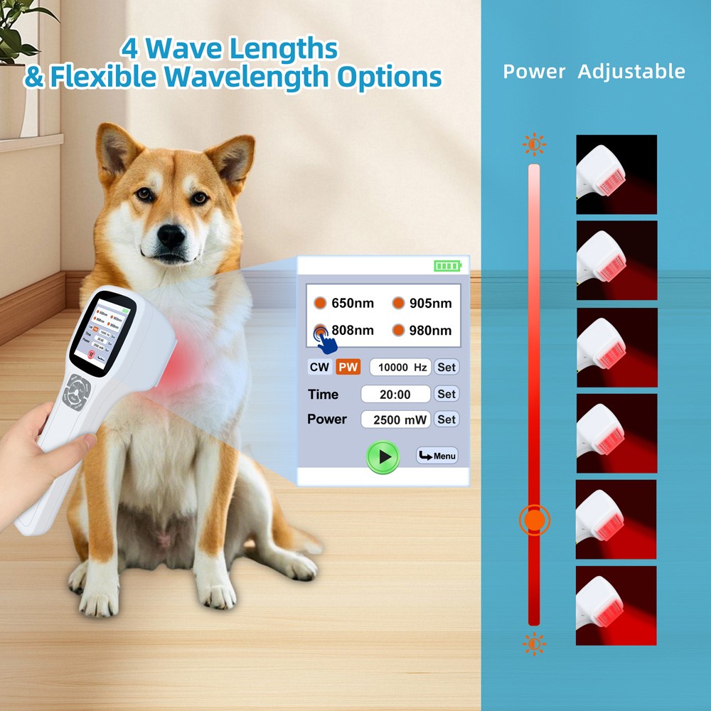 Cold Laser Therapy Infra Red Light LLLT Device for Joint Pain 2500mW Touchscreen