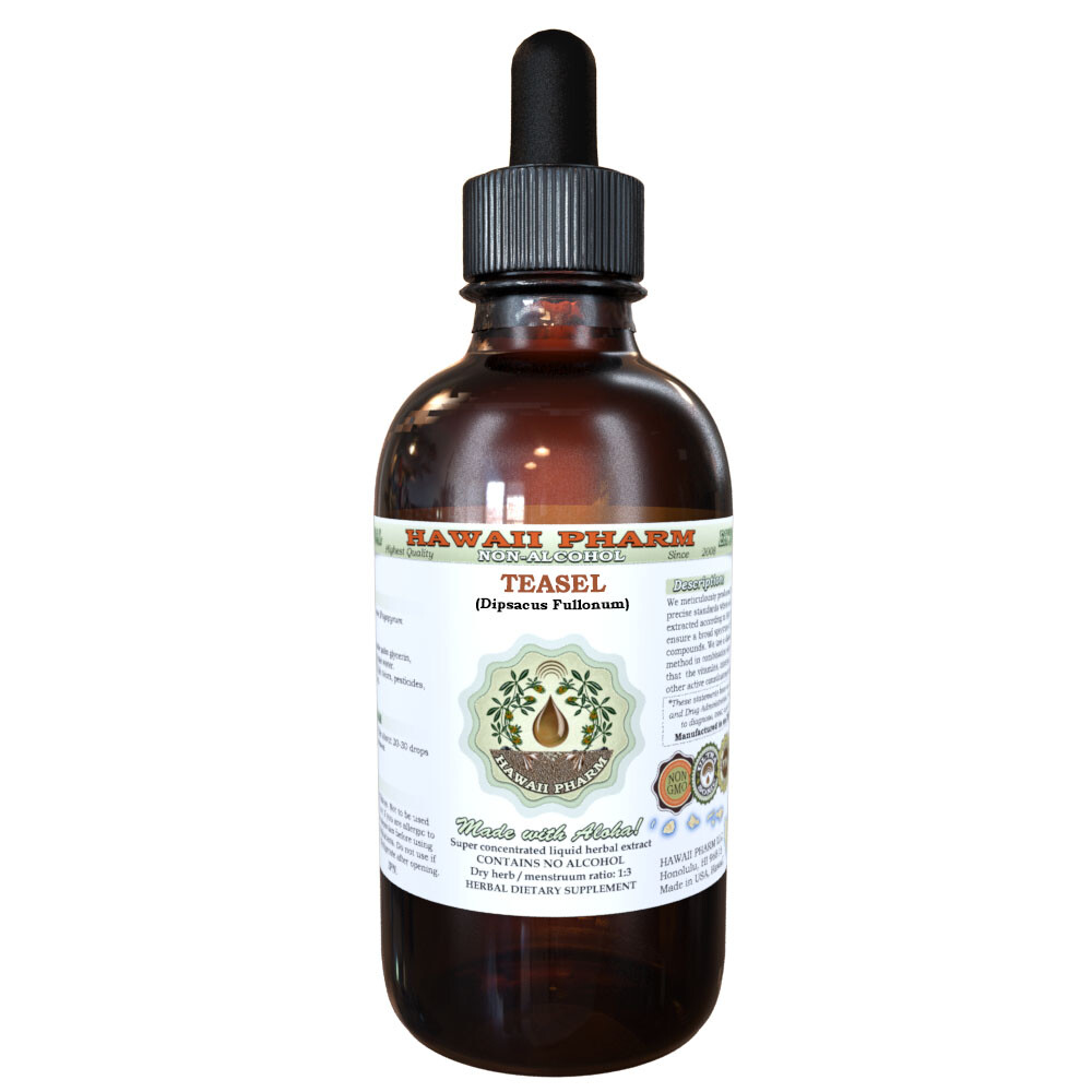 Teasel (Dipsacus fullonum) Dried Root Liquid Extract