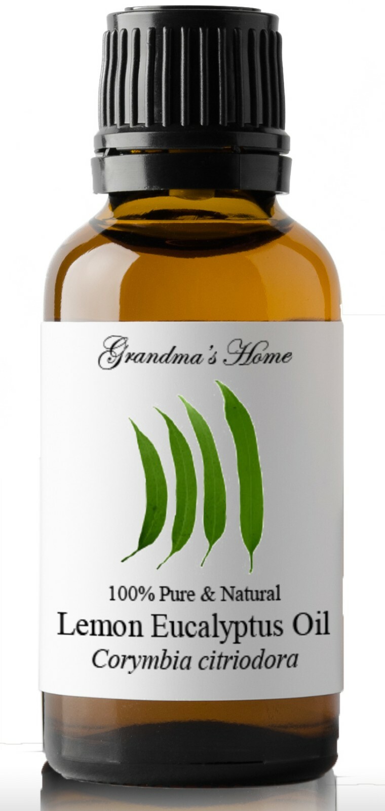 Lemon Eucalyptus Essential Oil – 100% Pure and Natural – (Citriodiol)-US Seller!