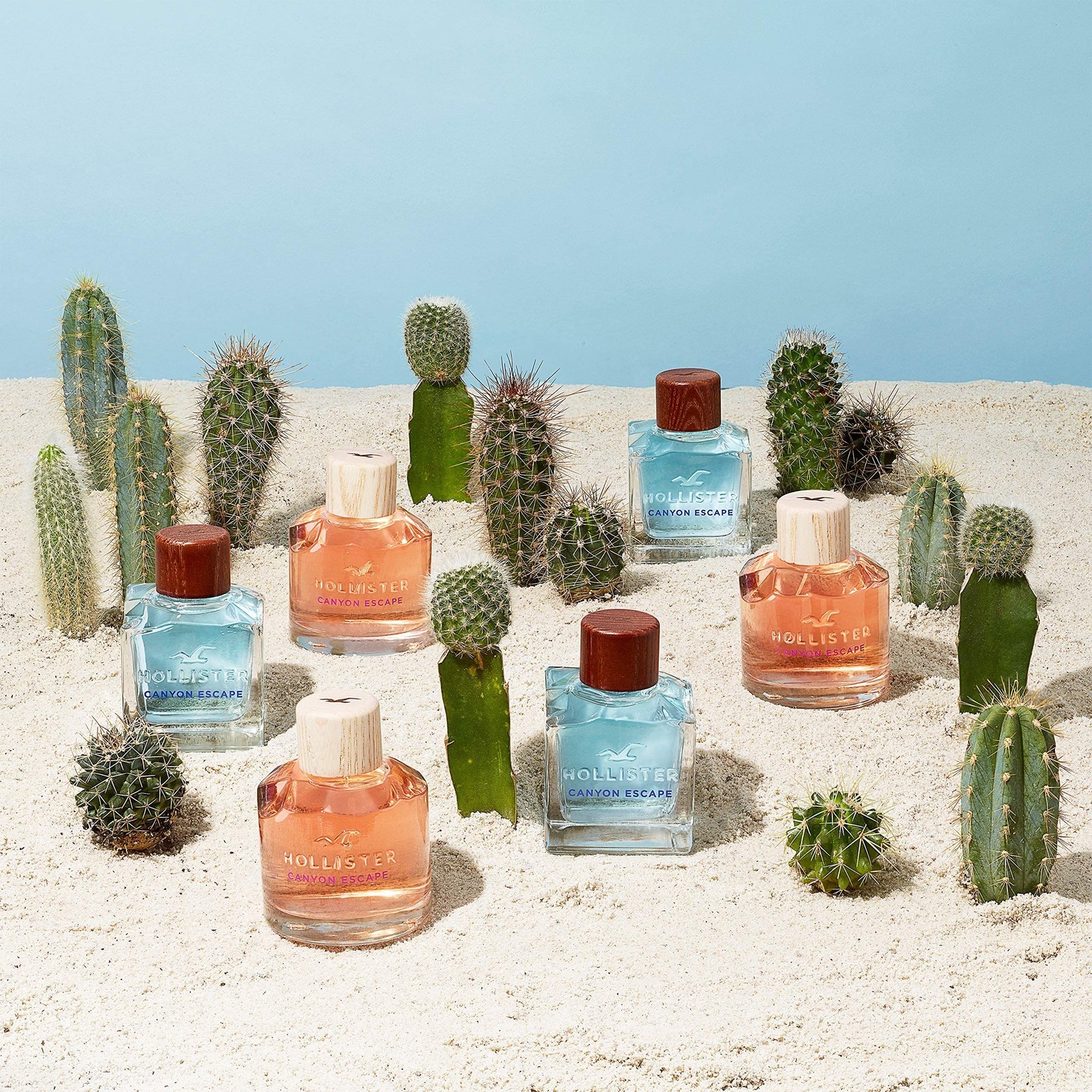 Hollister Women’s EDP Canyon Escape (3.4 Fl Oz)