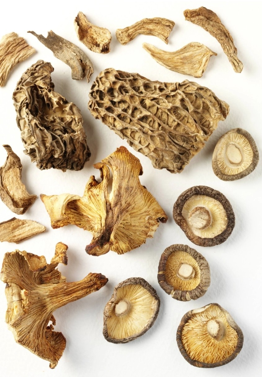 Dried Medicinal Premium Muscimol Botanical Mushroom Supplement
