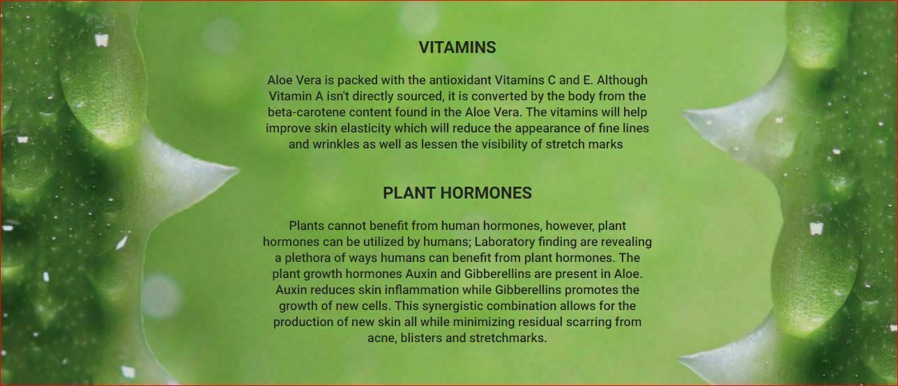 Aloe Vera Gel (THICK) 100% Pure Organic Soothing Moisturizing Skin Lotion BULK