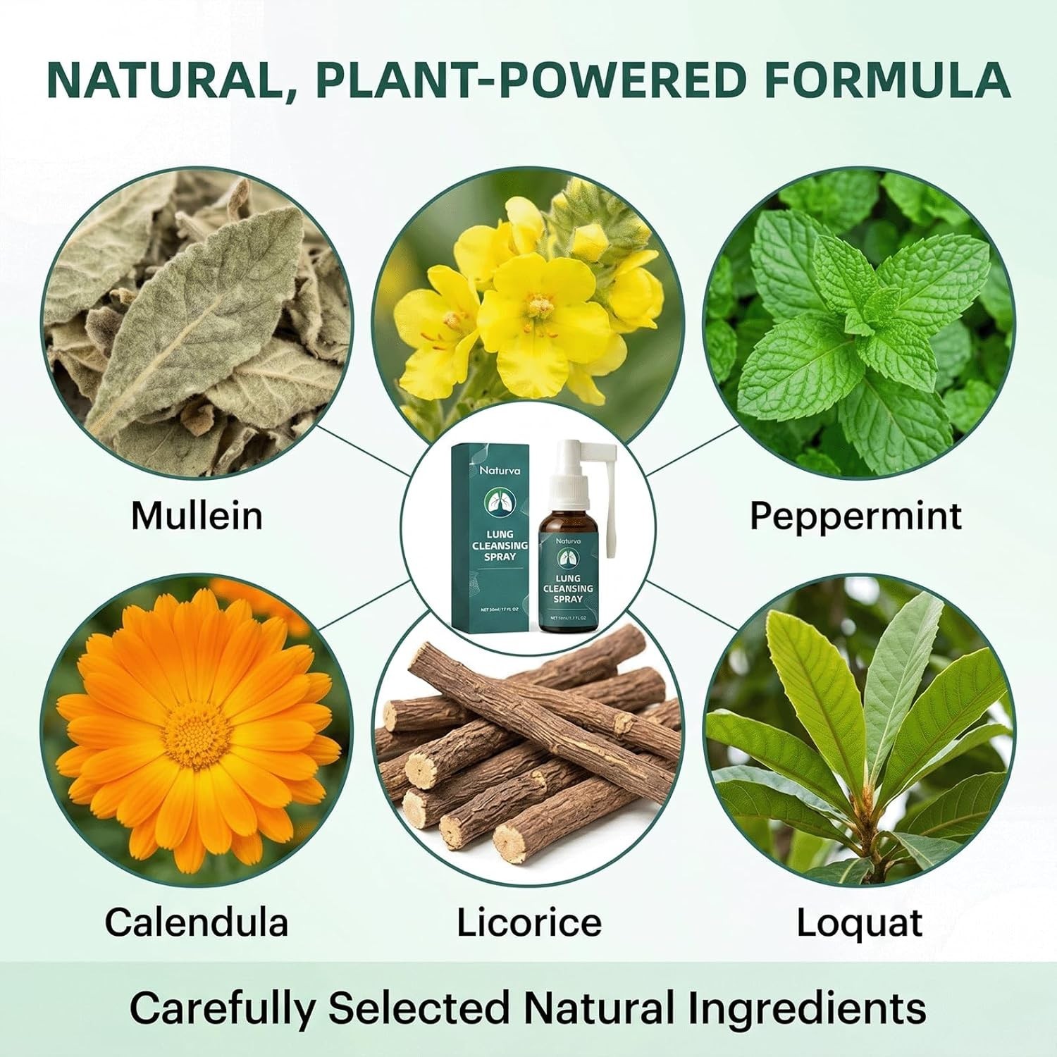 Naturva Lung Cleansing Spray,Calendula Leaf Extract (Pack of 2), 2pcs